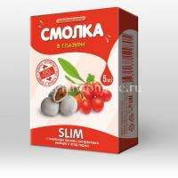 Смолка жевательная Алтайская SLIM Похудение в глазури драже №5 (Алтайский нектар/Россия)