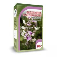 Леспедеца копеечниковая трава пак. 50г (Компания Хорст/Россия)