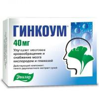 Гинкоум капс. 40мг №90 (Эвалар/Россия)